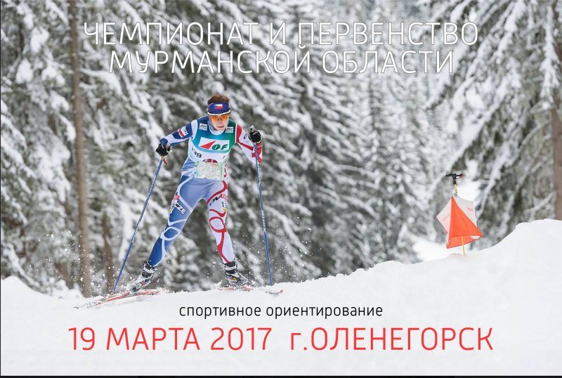 Чемпионат и Первенство Мурманской области